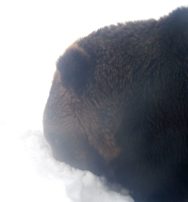b0014576_00324858.jpg