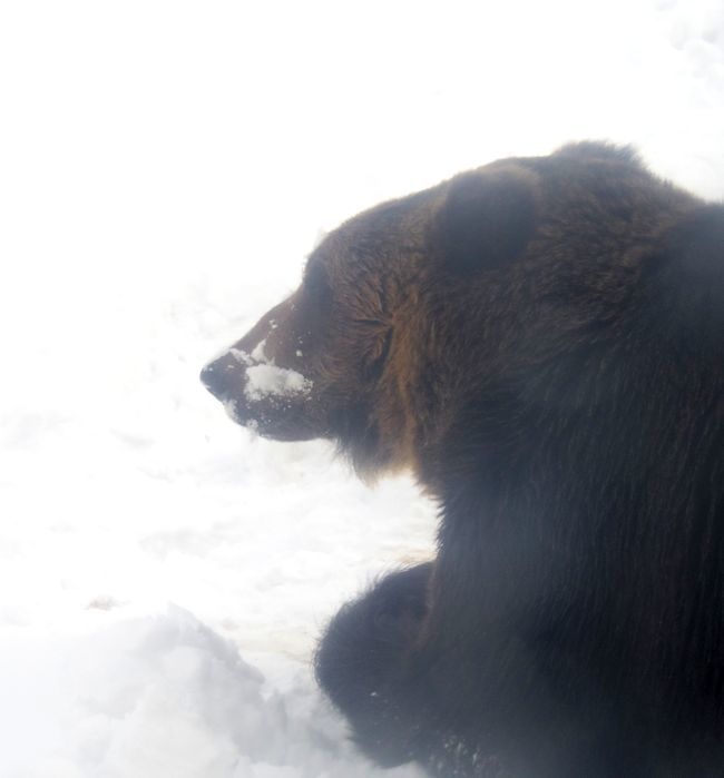 b0014576_00325251.jpg