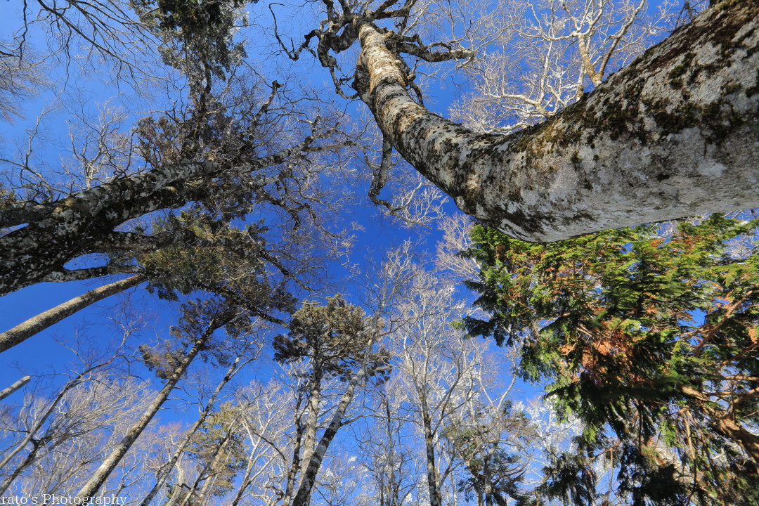 f0236776_11452296.jpg