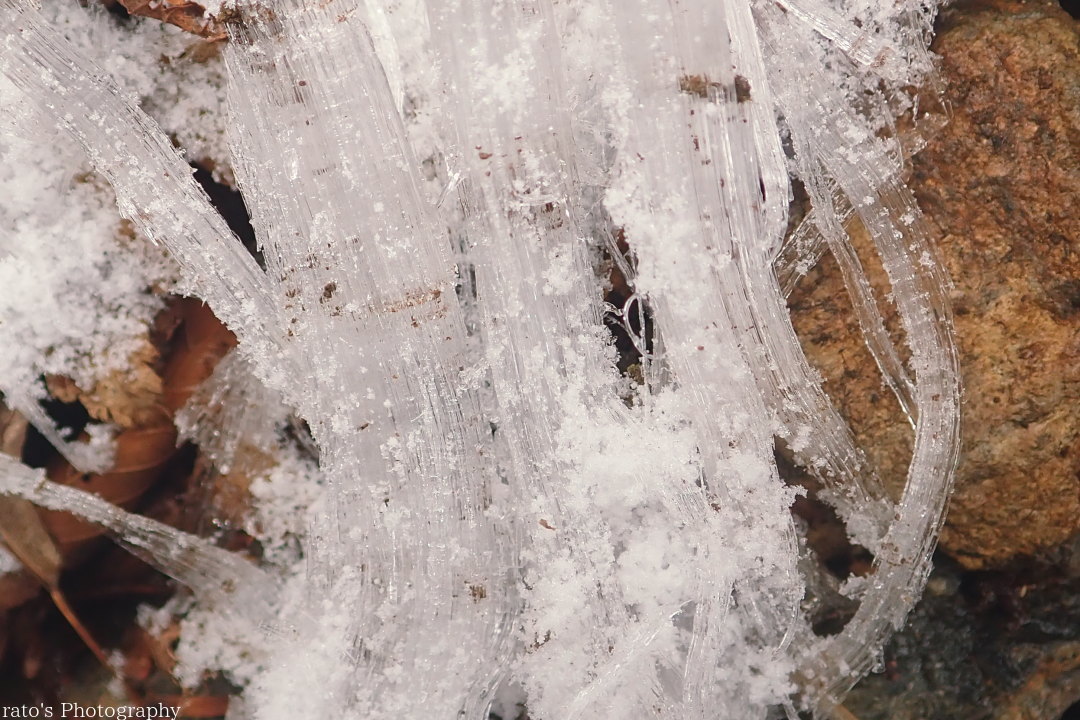 f0236776_11452632.jpg