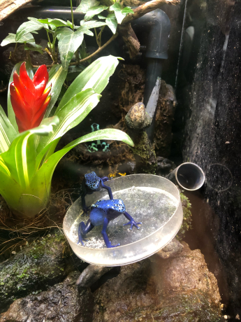 うみの杜水族館②_e0355177_19223341.jpg