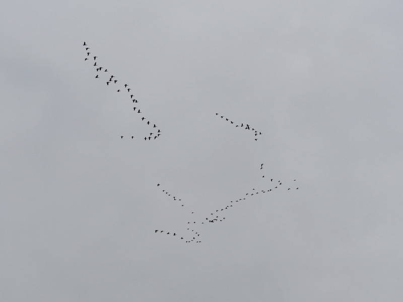 f0372177_22182923.jpg