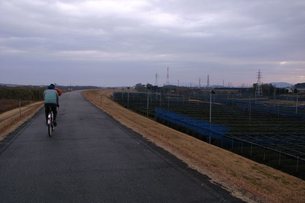 f0124378_20023532.jpg