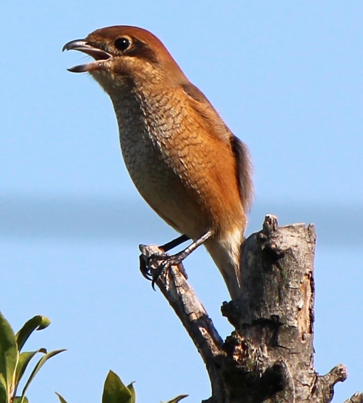 b0057679_09141255.jpg