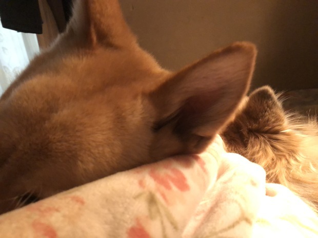 b0377882_17501603.jpeg