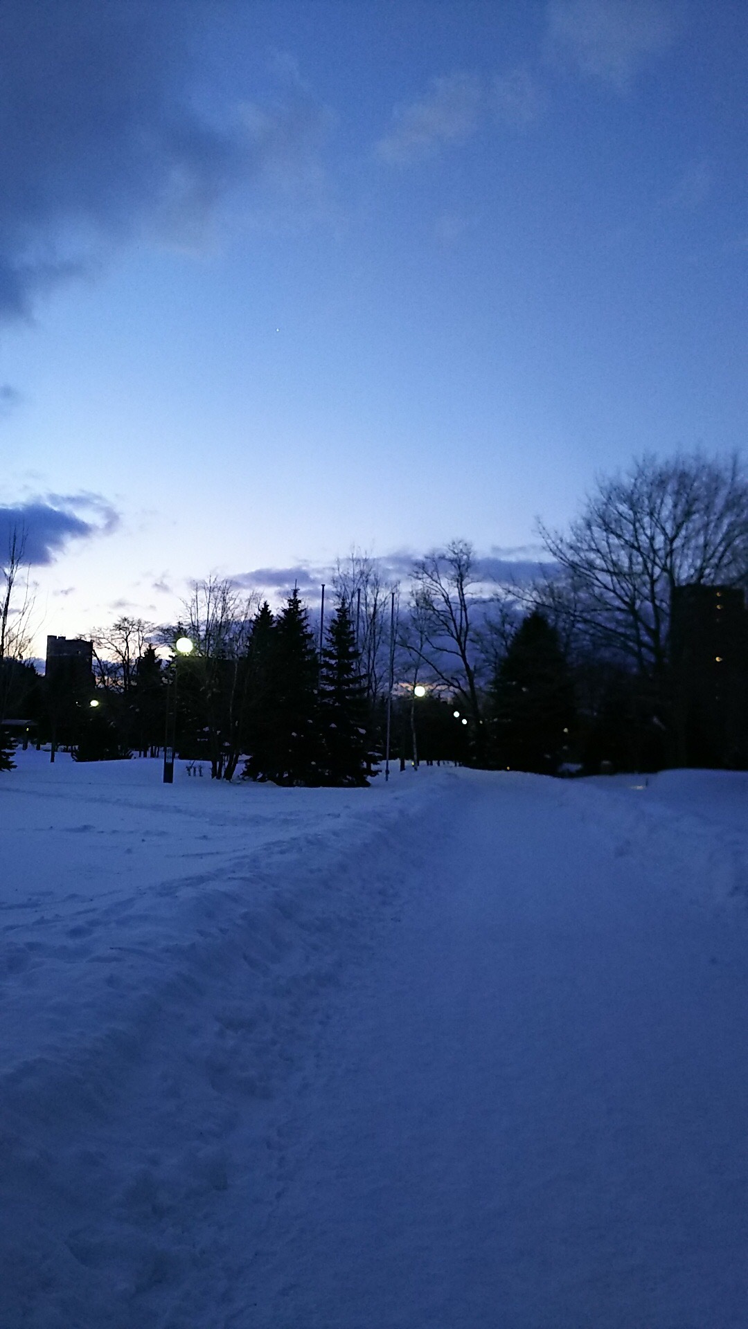 f0310282_17331264.jpeg