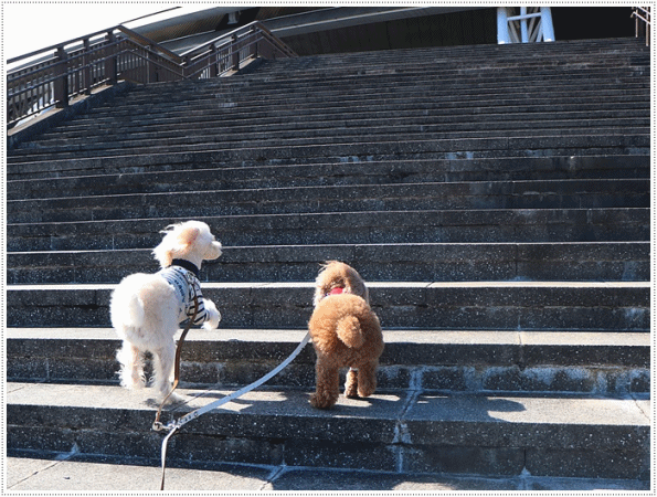 b0175688_22090544.gif