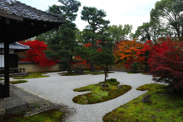 廬山寺_e0051888_23481744.jpg