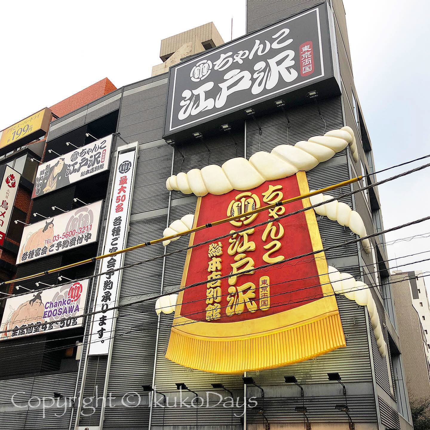 横綱ちゃんこは 正に横綱級 相撲茶屋 ちゃんこ江戸沢 両国総本店 両国 Ikukodays 横綱ちゃんこは 正に横綱級 相撲茶屋 ちゃんこ江戸沢 両国総本店 両国 Ikukodays