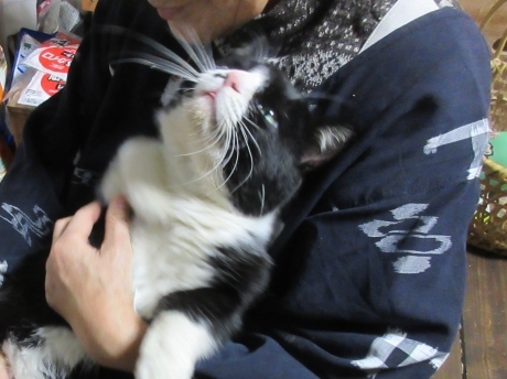 ばーちゃんいいこいいこ_a0203003_20173495.jpg