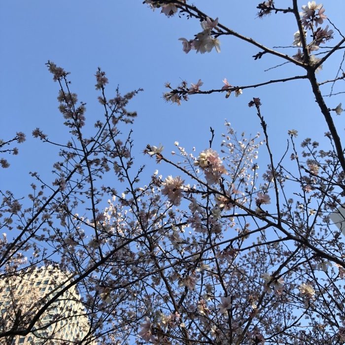 d0138811_23454210.jpeg