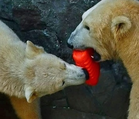 a0151913_3492012.jpg