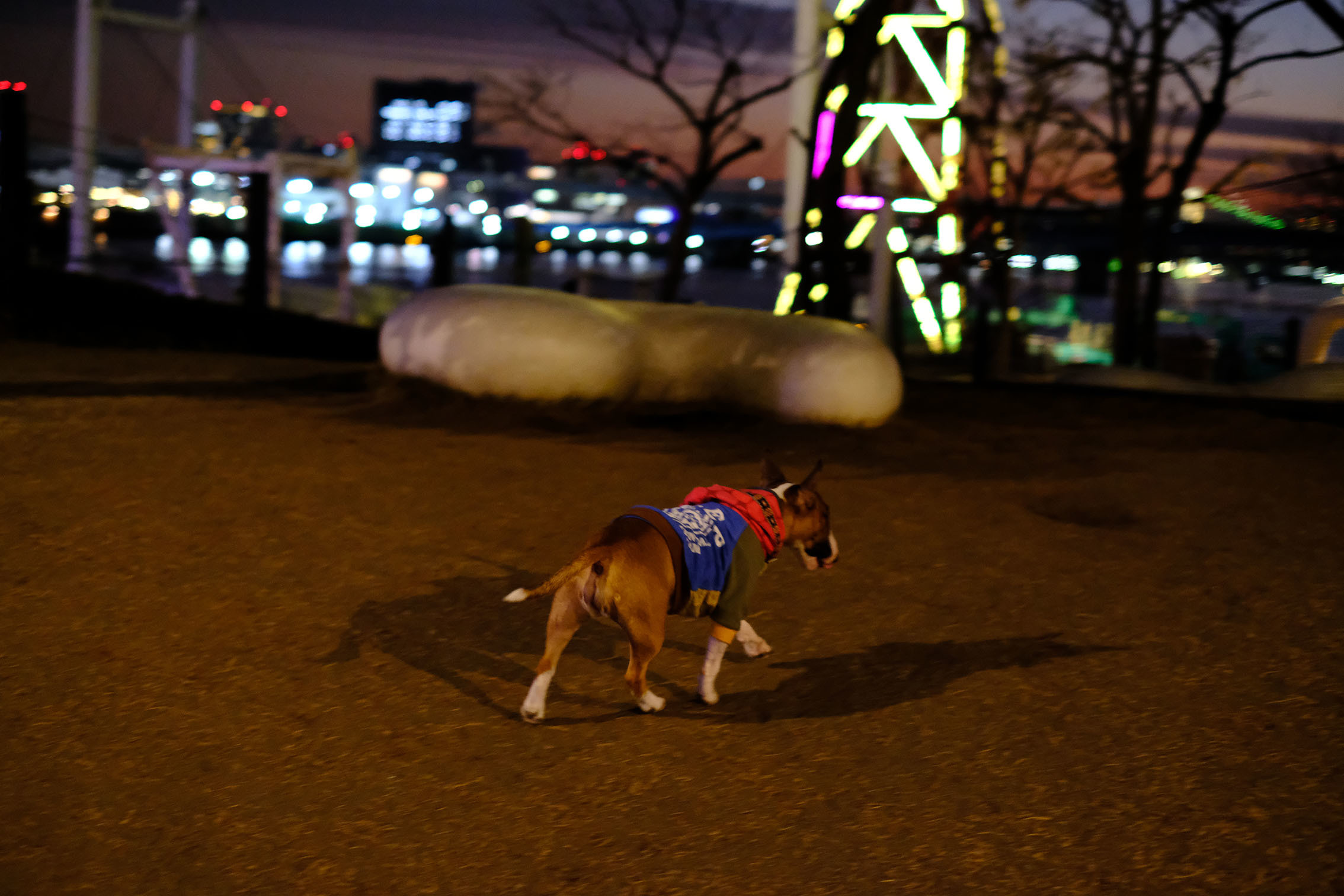 b0310424_11331585.jpg