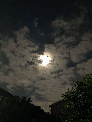 f0327534_13401060.jpg