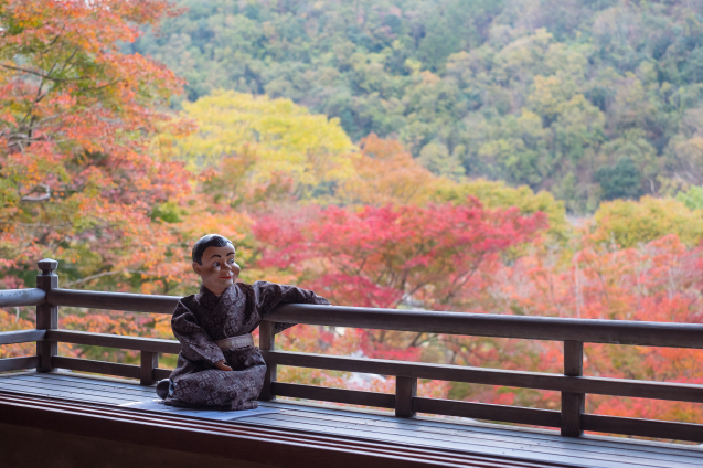 瑠璃光院 〜2018 秋の紅葉〜_e0369736_22232374.jpg