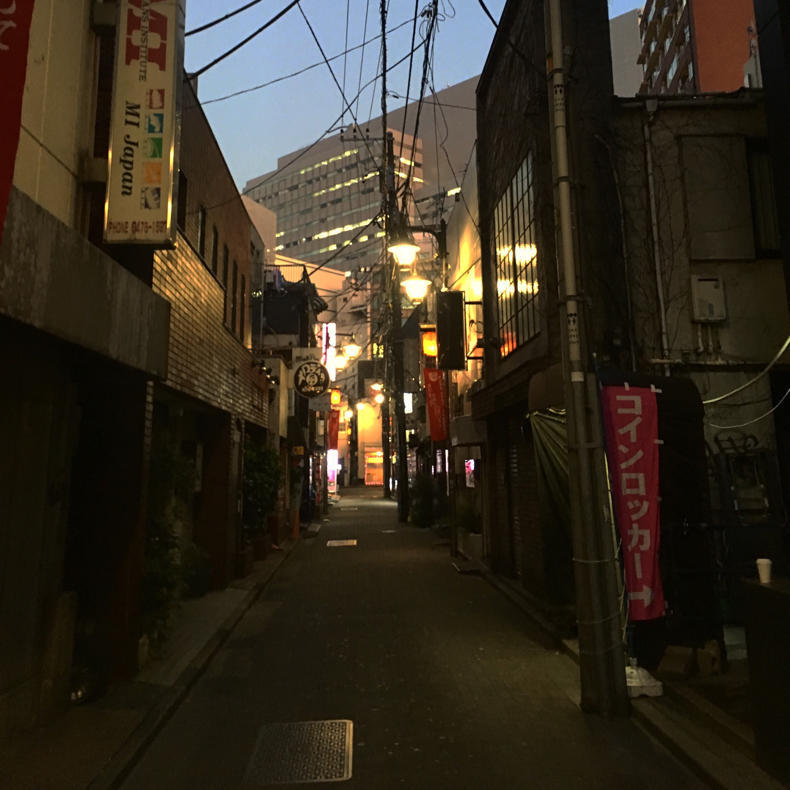 今朝の夢、のりピーとカレー_c0060143_12213580.jpg