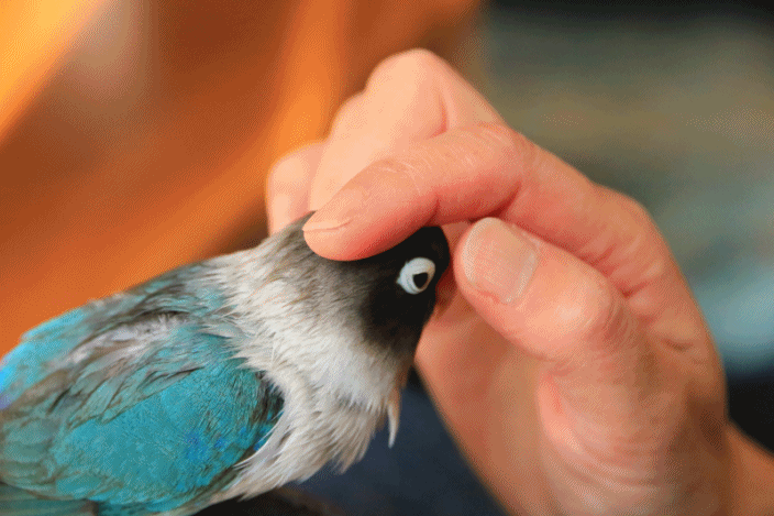 c0145250_09314102.gif
