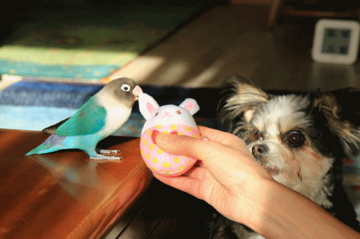 c0145250_09511915.gif