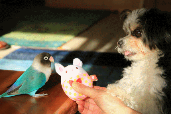 c0145250_09515779.gif