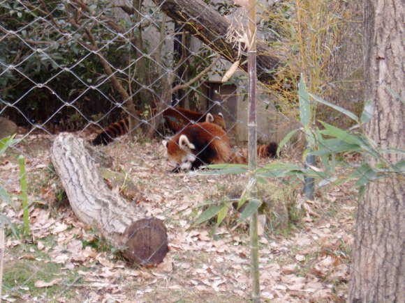 c0017651_01225827.jpg