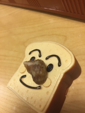 f0367954_21404570.jpeg