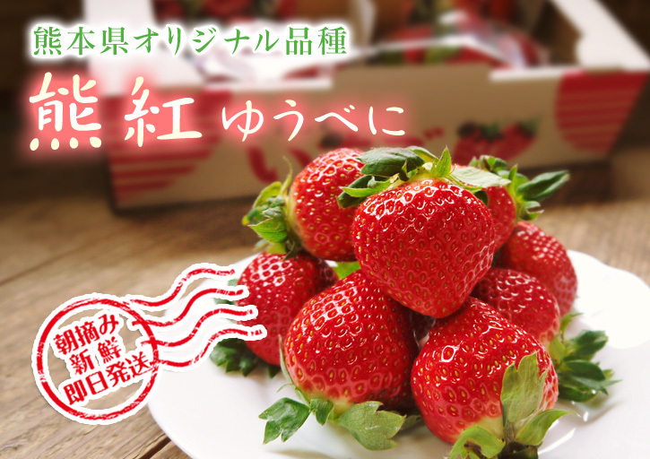 バレンタインギフト2019 FLCパートナーズストアの最旬フルーツ(熊本産高級イチゴ編)_a0254656_16513628.jpg