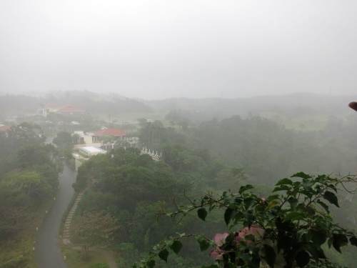 f0299682_13300776.jpg