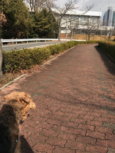 a0216583_21444993.jpeg