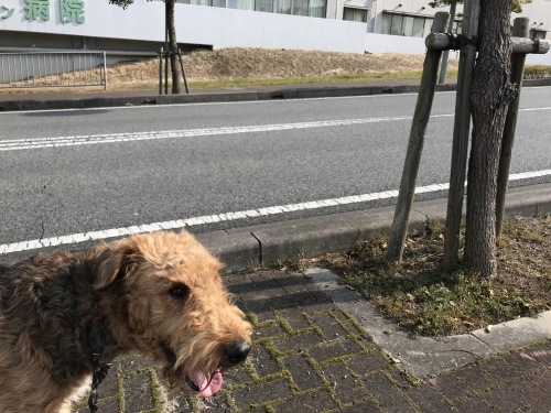 a0216583_21445376.jpeg