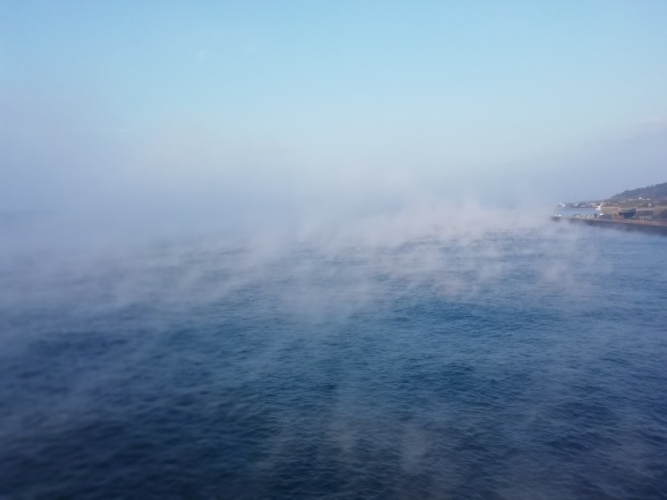 c0212083_15433886.jpg