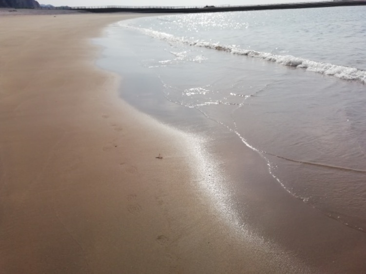 c0212083_15492698.jpg