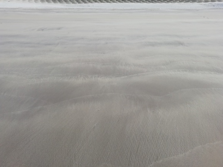 c0212083_15494536.jpg