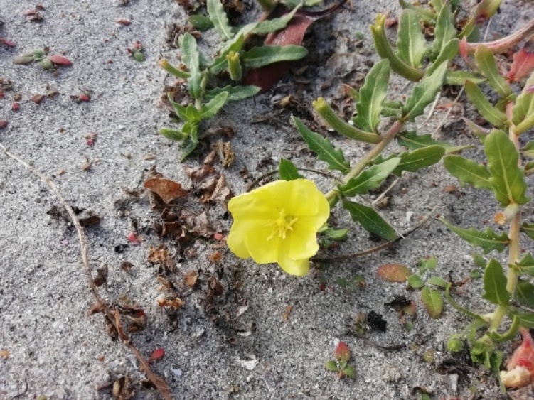 c0212083_15501490.jpg