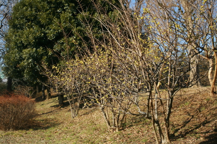 e0165983_12342346.jpg