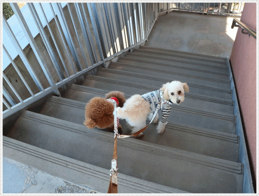 b0175688_23435635.gif