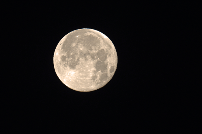 e0248688_18044393.gif