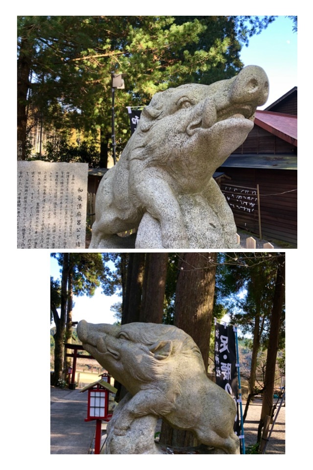 e0145589_23385357.jpeg