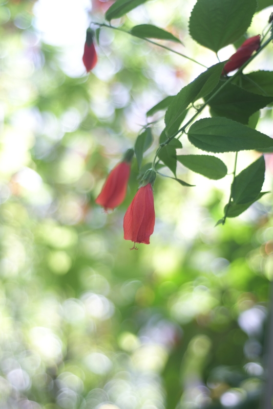 d0021491_22475800.jpg