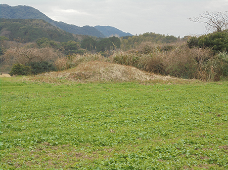 d0355894_21571534.jpg