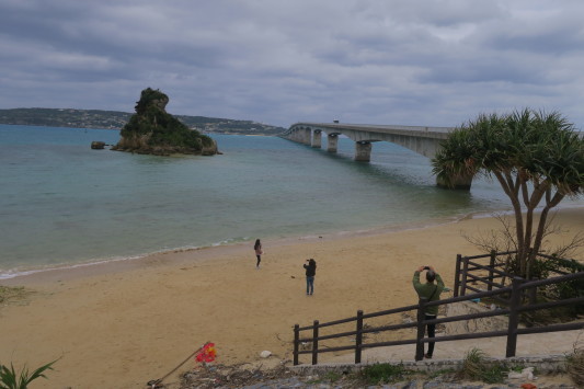美ら島おきなわセンチュリーラン2019 に参加してきました 3_c0132901_19541540.jpg