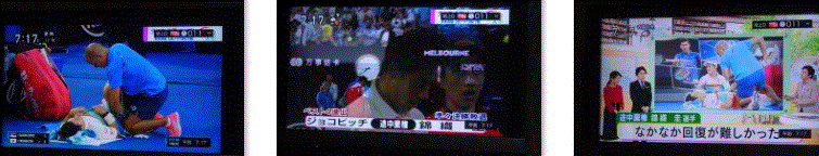 f0231709_10144114.gif