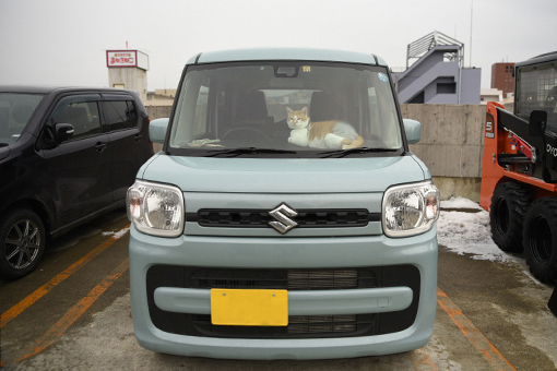 ここです♪_b0259218_09350374.jpg