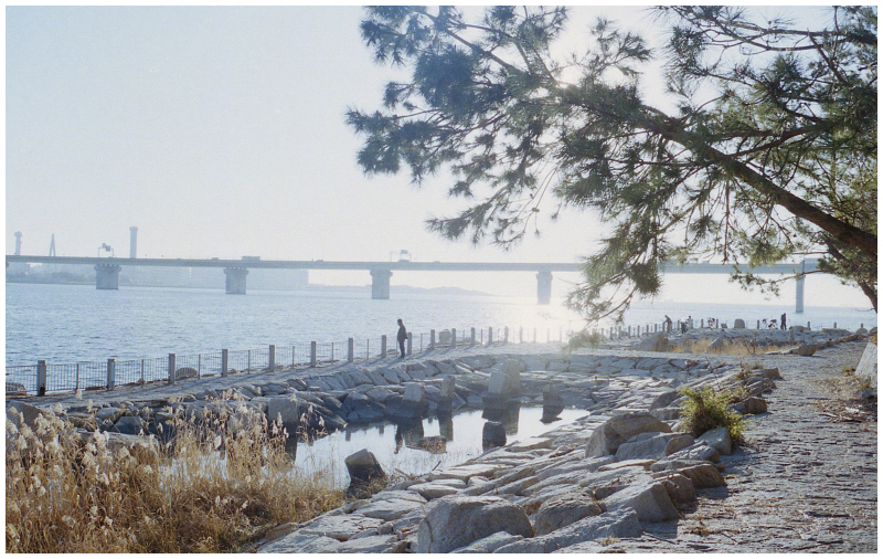 c0176622_14203095.jpg