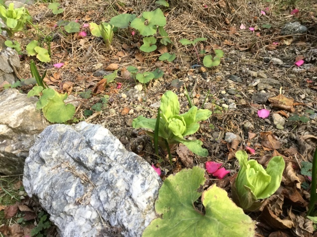 c0326723_22133150.jpeg