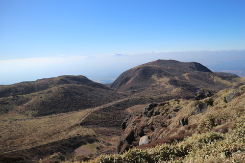 e0272335_85201.jpg