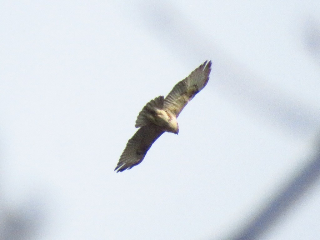 a0018655_09023803.jpg