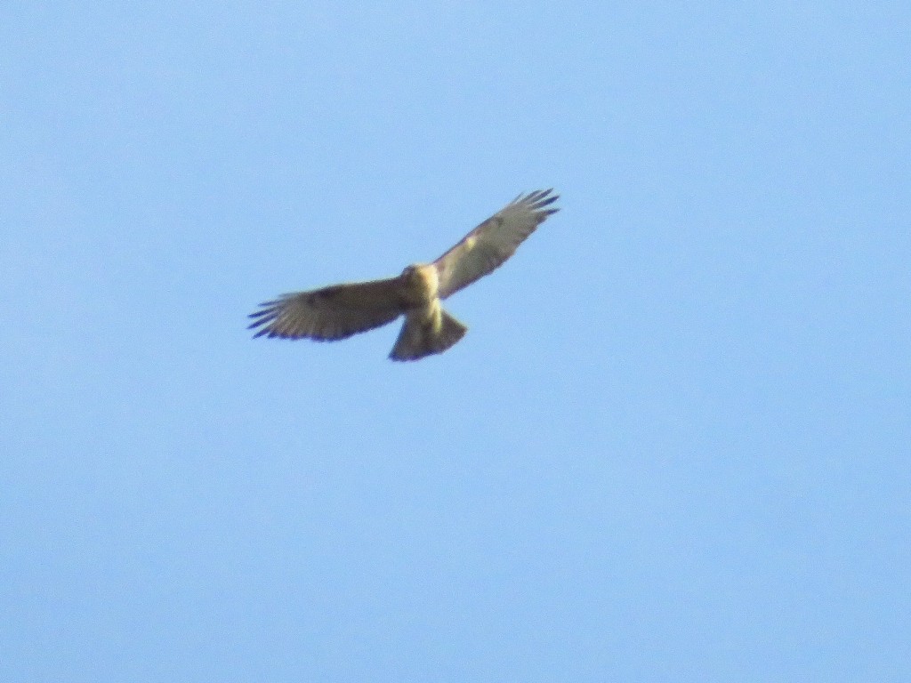 a0018655_09023850.jpg