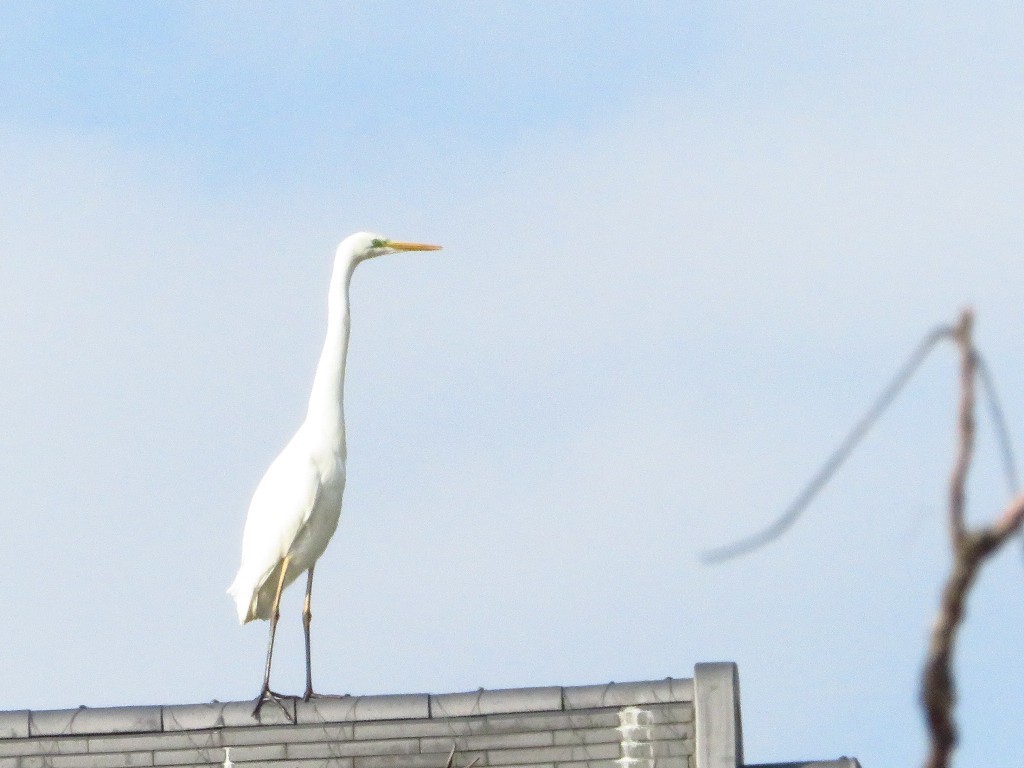 a0018655_09080712.jpg
