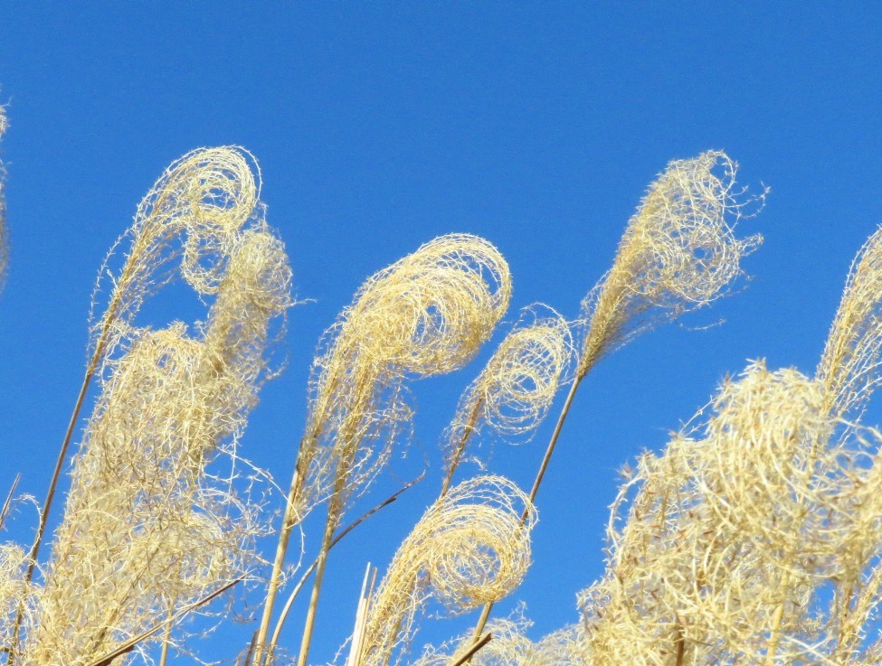 a0018655_09080803.jpg