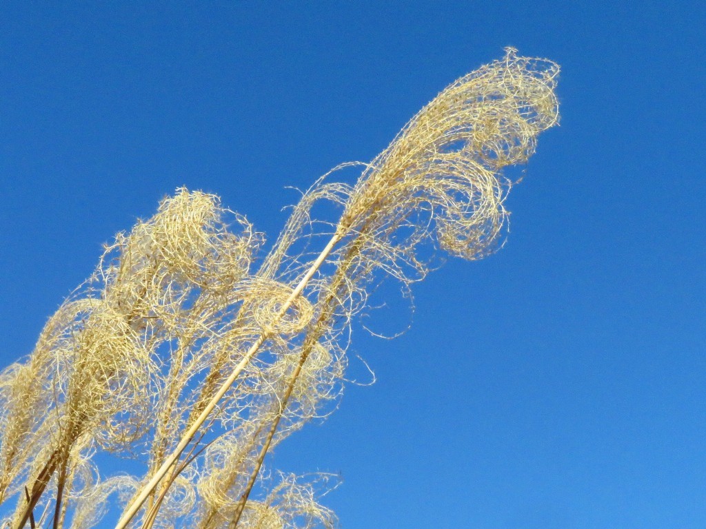 a0018655_09080816.jpg